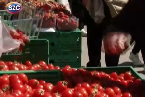 Pazar Tatili mi, Alışveriş mi?