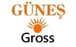 Güneş Gross