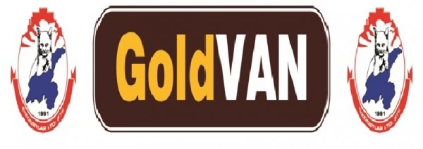 Goldvan AVM