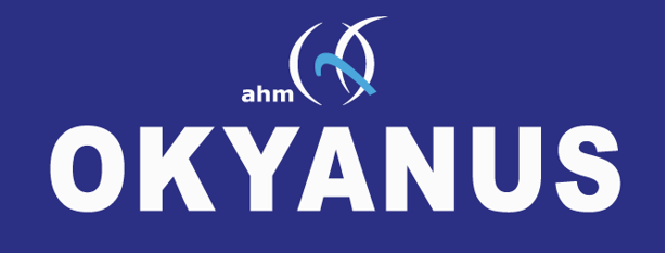 Ahm Okyanus Market